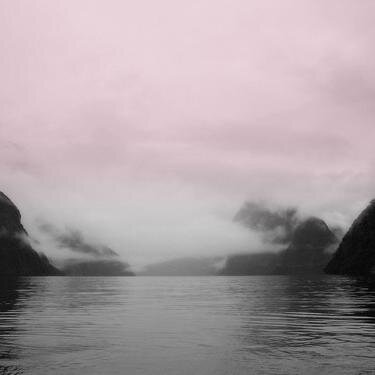 suicidal_girl4's profile picture. Never stop wishing