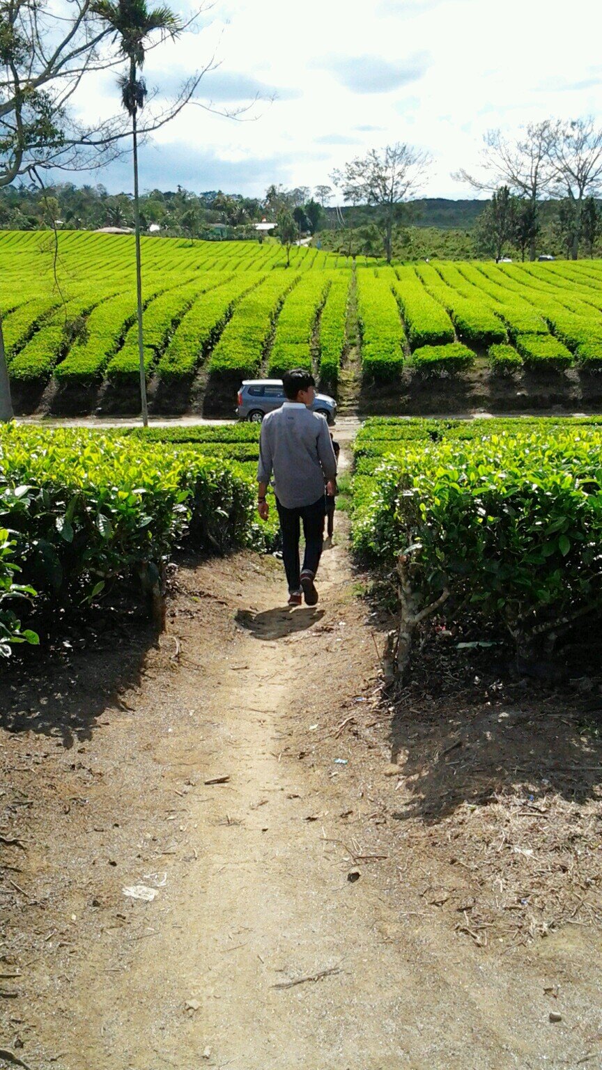 agiljovial's profile picture. Be Bright like The Sun