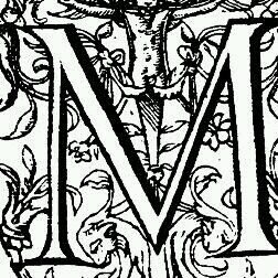 mashoodmce's profile picture. 