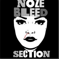 NOZEBLEEDSECTION (@nozebleedsect) 's Twitter Profile