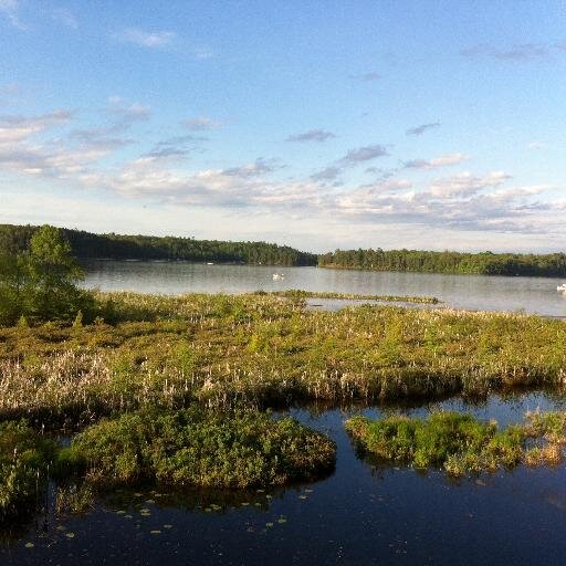 LoonStar13's profile picture. Teacher/Coach