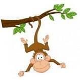 HorenZienSpelen's profile picture. Volg hier de oprichting van Horen, Zien en Spelen. Het ontspanning en belevingscentrum voor mensen met een beperking!