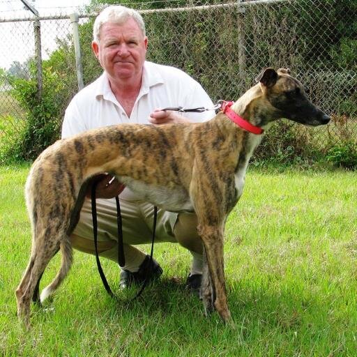 Greyhound racing kennel operator at Derby Lane. We also have greyhounds racing at Southland and Palm Beach