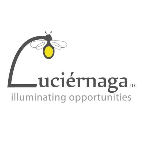 A social enterprise owned by @treeswater that brings clean energy solutions to rural Central America.