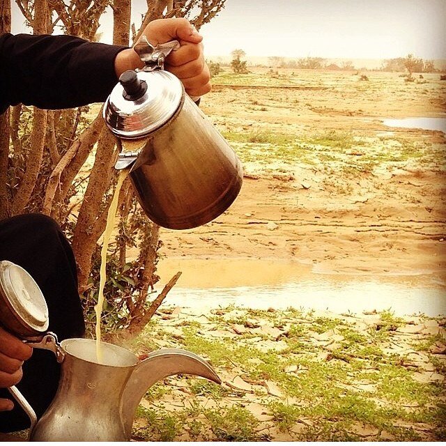 msher1999window's profile picture. 