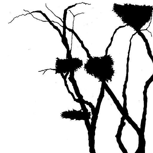 TheRookeryOxon's profile picture. Artists, artisans and healers abound in our beautiful space.