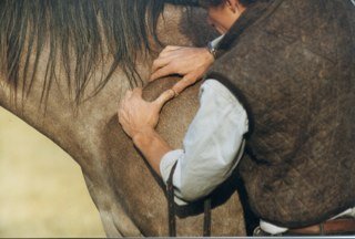 ammasjyoti's profile picture. 