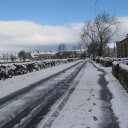 carley green - @Carley_Angie - Twitter