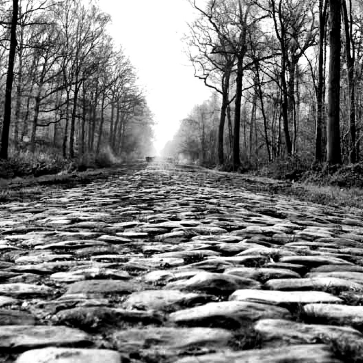 guenther_anger's profile picture. Owner and operator of @velofixboston