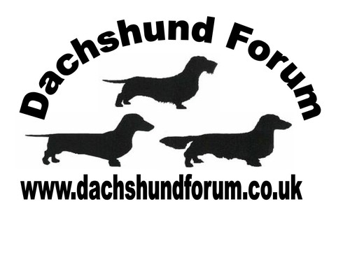 Does your dachshund rule your world. Join our world