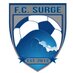 FC Surge Soccer (@fcsurge) Twitter profile photo FC Surge Soccer (@fcsurge) Twitter profile photo
