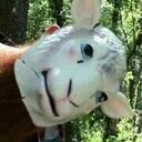 chad taft - @Romeot826Taft - Twitter