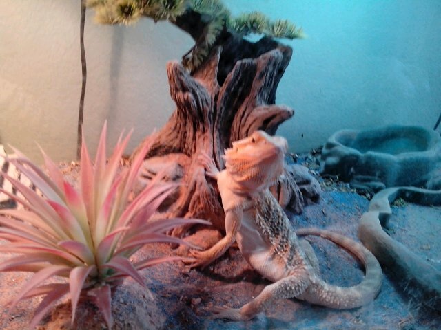 JAkespaCe775's profile picture. 