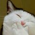 Butete~ (@5763_91913) Twitter