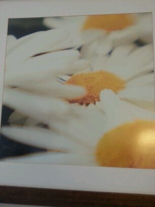 LeyoVilme's profile picture. 