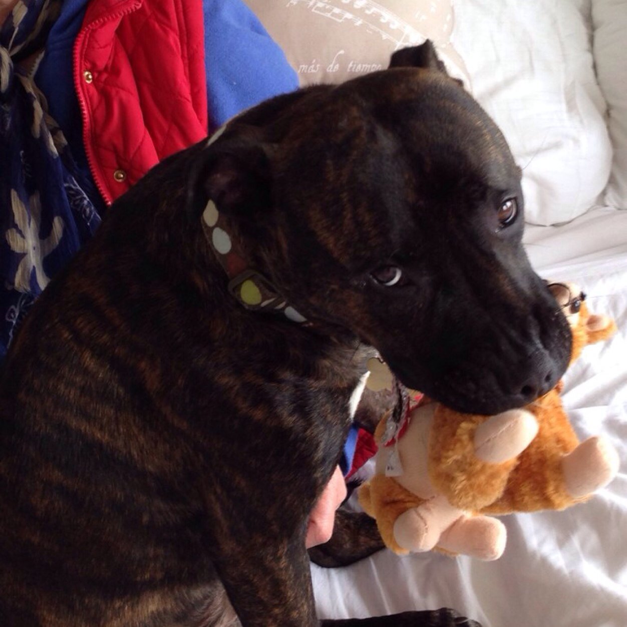 jennysmith007's profile picture. 