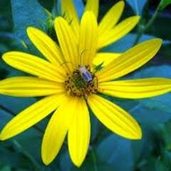 FoodDayDoverDel's profile picture. Making Real Food ~ Real Fun!