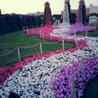 أم سارا🇸🇦 (@ommniaty) Twitter profile photo