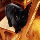 Kim Galley - @kimagstitch - Twitter