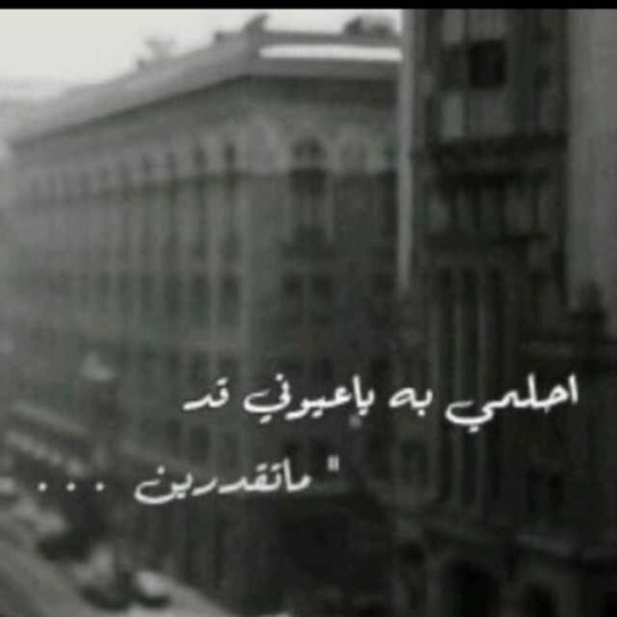 Haoiah's profile picture. {خآلدي الهوى تزداد احرفي فَ يقل عدد من يفهمني اكثرُ{ احرُفِي التِي اكتُبہاَ لَہآ ♡ خلف ضلَعهاَ الايسر وطني❤️مهرتي❤️