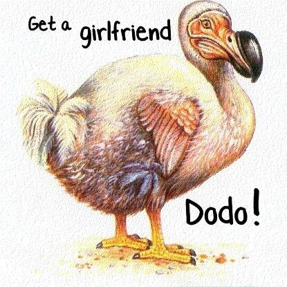 Hey yo!✌ It's Dodo, Frenchy, Berry and Miley and we do a lot of #roadtrips :)