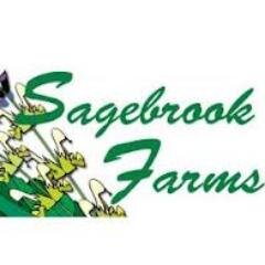 Sagebrookfarms's profile picture. Horseback Riding/Lesson Program/Training