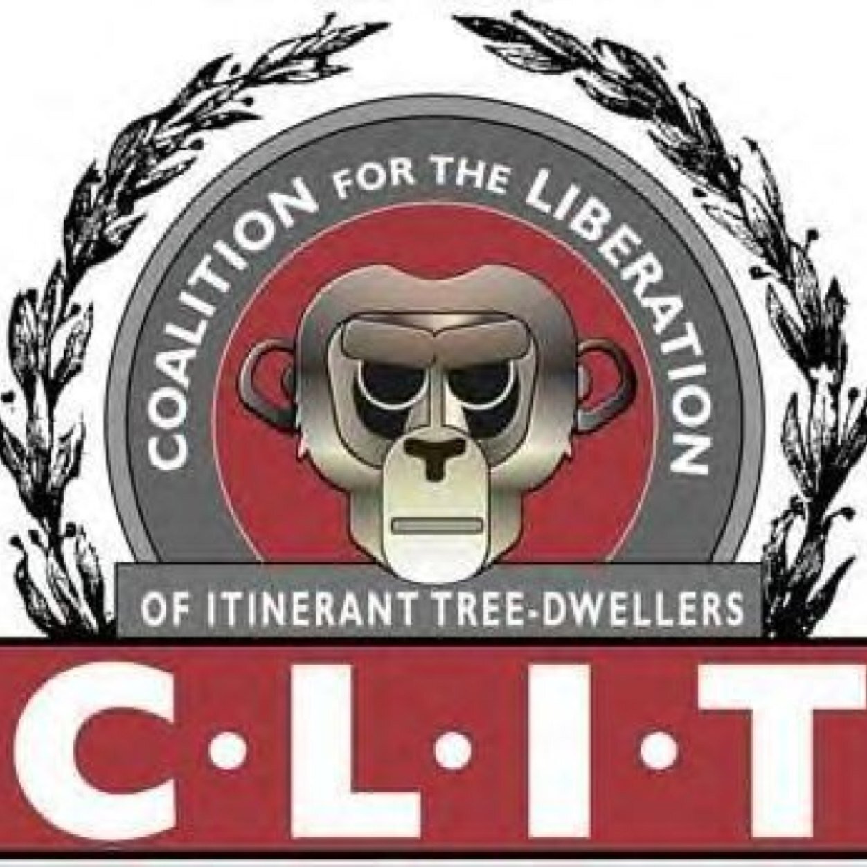 The C.L.I.T. COMMANDERS Logo