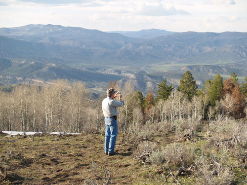 alandfriedman's profile picture. 