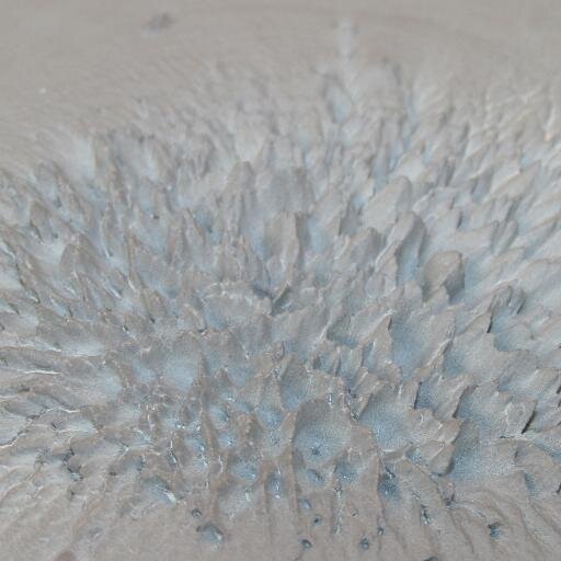 floralconcrete Profile Picture