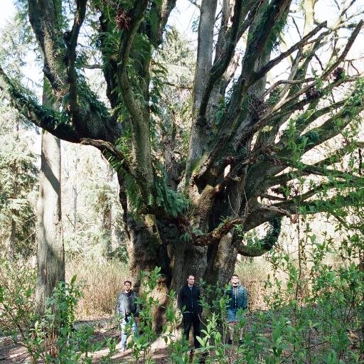 gizamusic's profile picture. Instrumental, Apocalyptic, Sludge