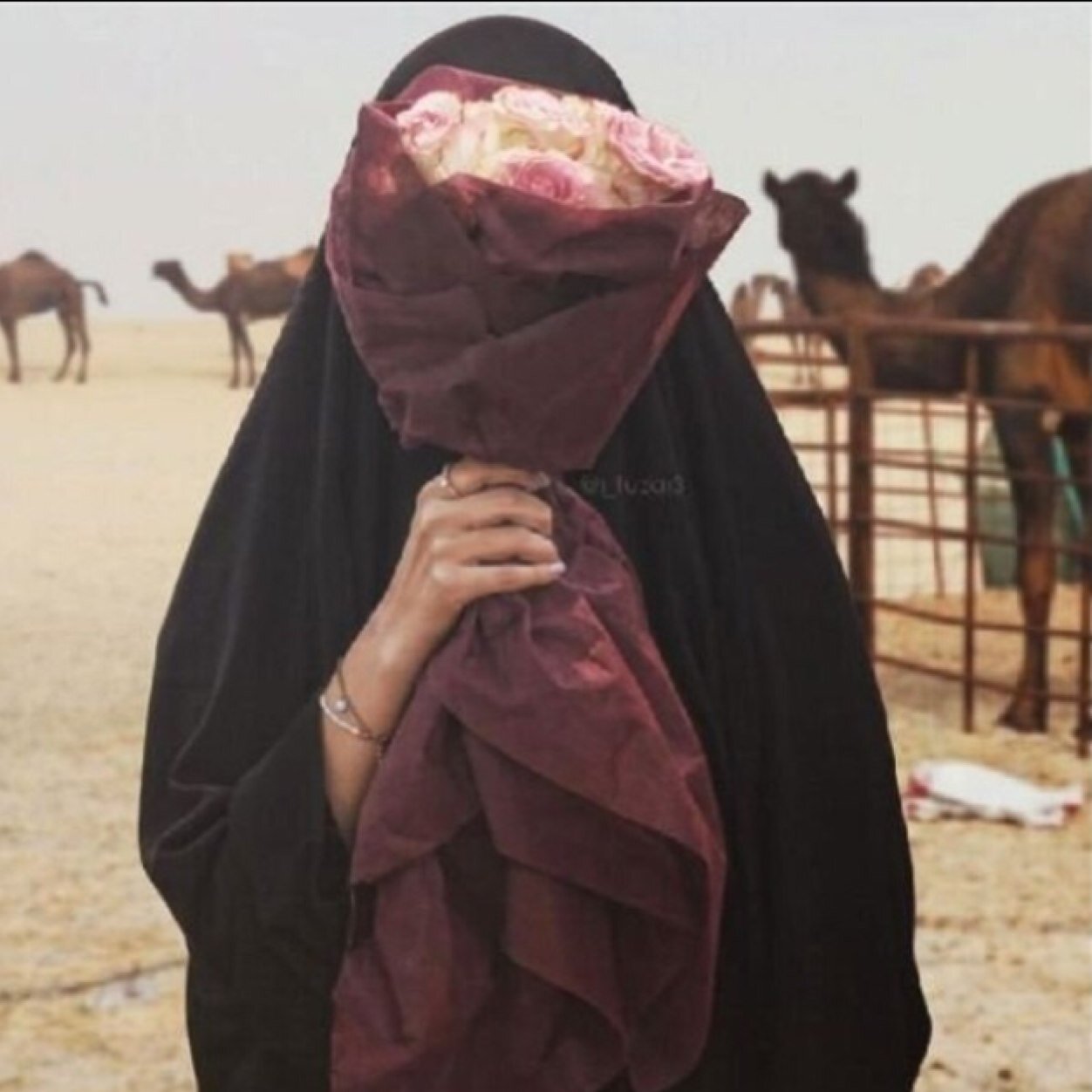 ‏سمّ آبوي ؟ آصيرلك بآيو . طقيت للبايو ! جات عَ الفلو .