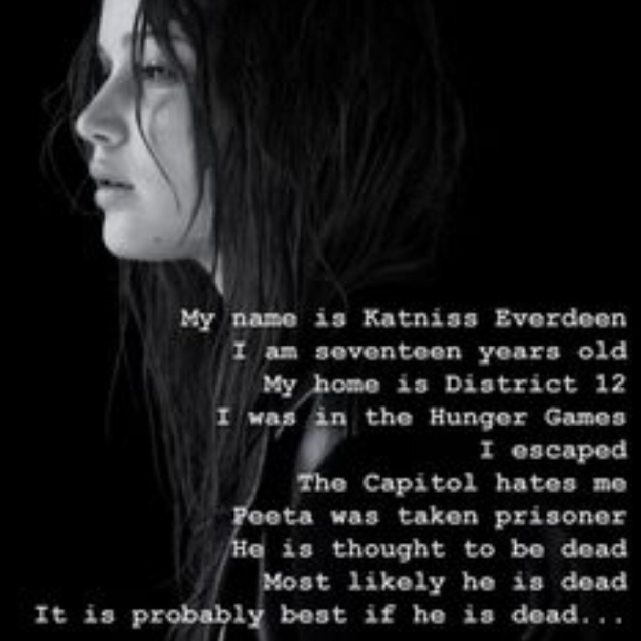 KatnipKat's profile picture. 