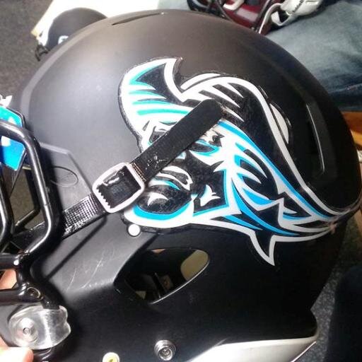 Official Page for the Cleveland Patriots Professional Indoor Football Team