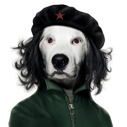 mucholoco0's profile picture. The more I read the more learn, the more I learn the more I know, the more I know the more I forget, so why the f*#k am I bothering?