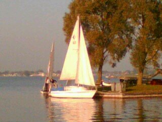 magicmoRing's profile picture. 