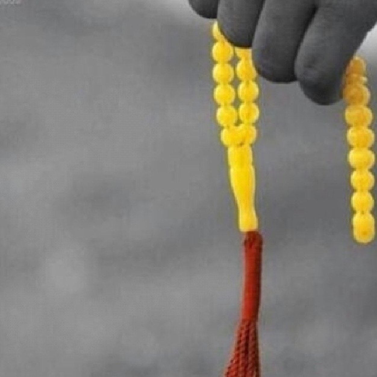كلنا لآدم وآدم من تراب ..