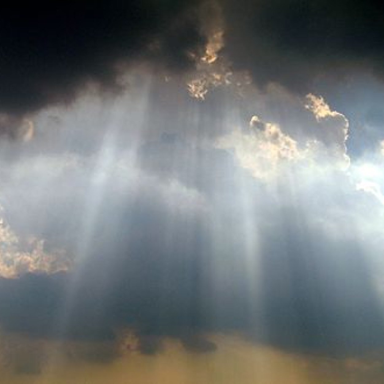 Look up!