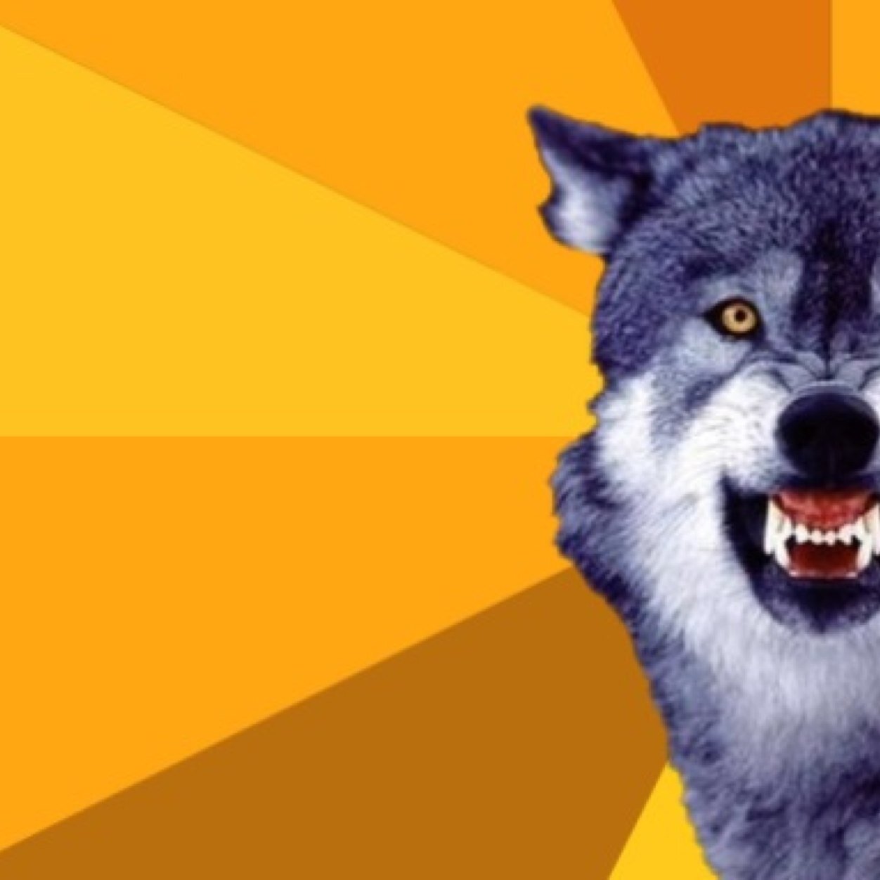 grimwu1f's profile picture. 