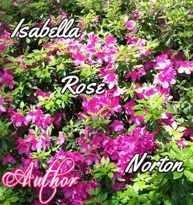 IsabellaAuthor's profile picture. Author of young adult fiction novels.   Reading can be a great escape in and of itself.