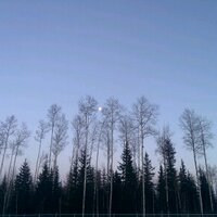 Witchstone (@witchstonedoom) 's Twitter Profile