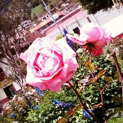 Tanday_ma's profile picture. Tomorrow is a new day. ~ #potterhead since 2003