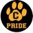CES_Cheetahs's profile image
