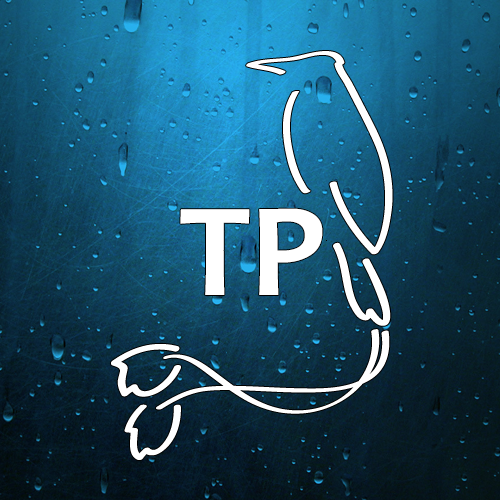Somos una plataforma virtual informativa e independiente creada para el público nicaragüense.
Unidos en la diversidad, juntos somos un volcán.