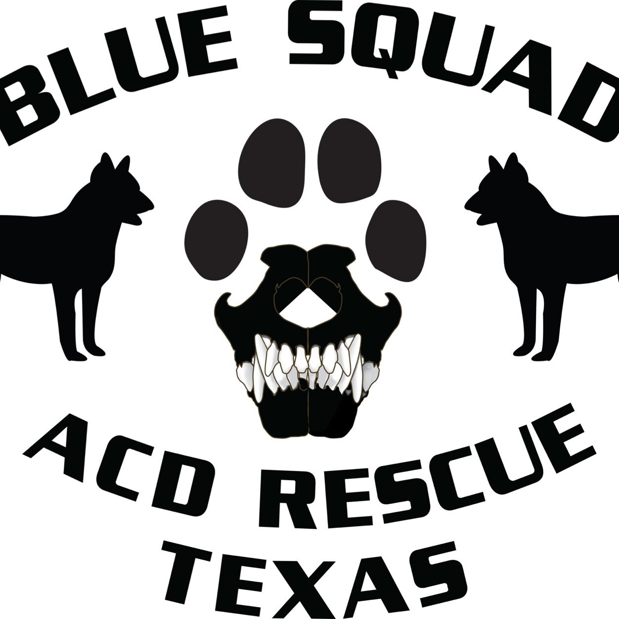 bluesquadrescue Profile Picture