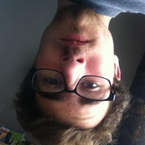 Game Designer
