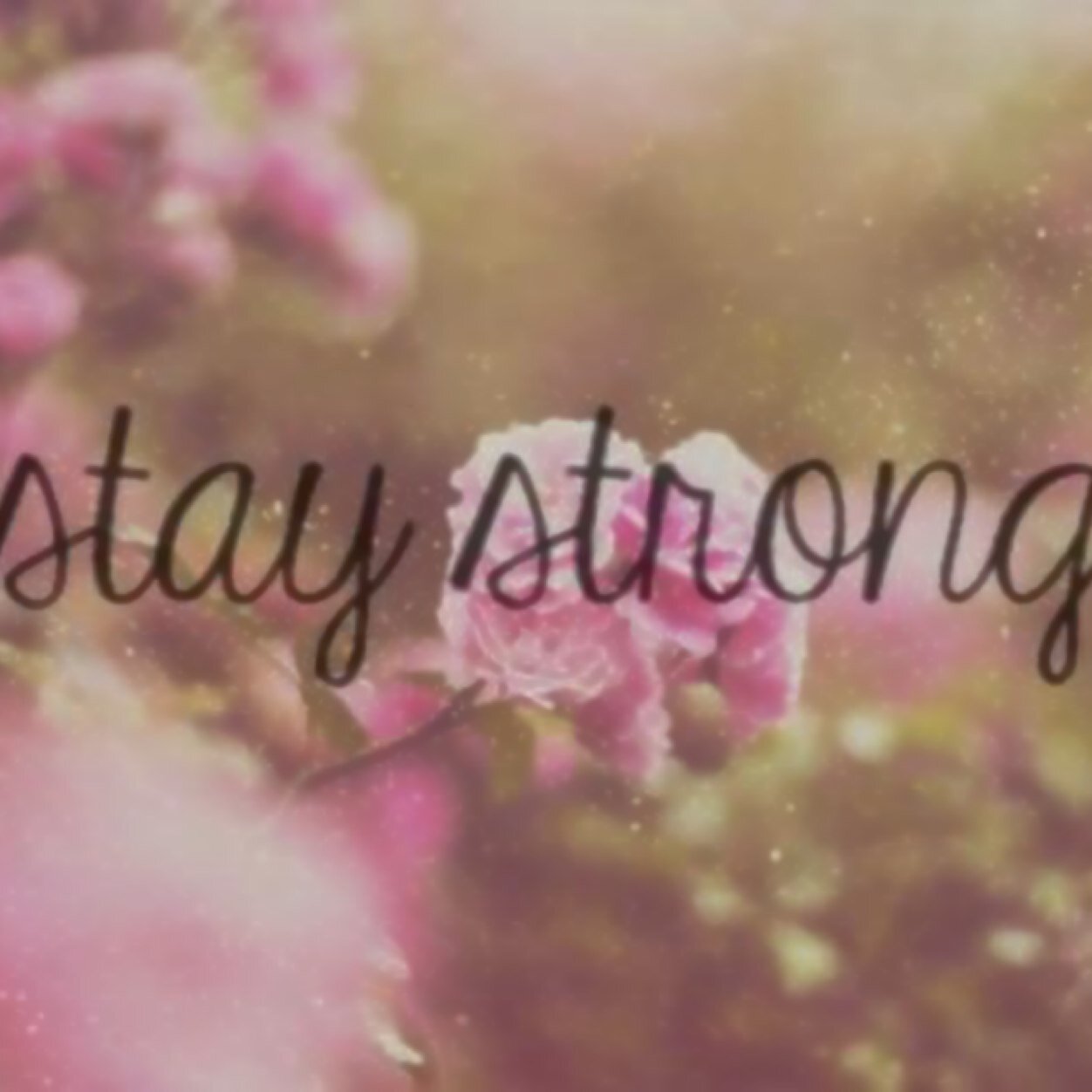 When there is something wrong or you just wannna talk to someone i'm here for you guys forever! I promise you! I will try to help you! Just dm me when you want!