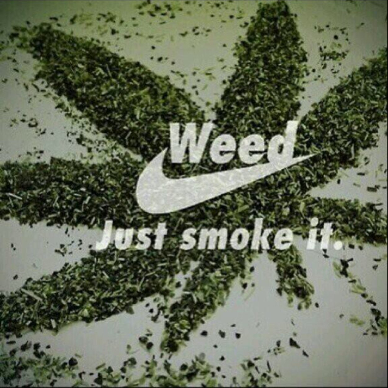 #stomerfam
How can a plant be harmless?
Spark up the ganja