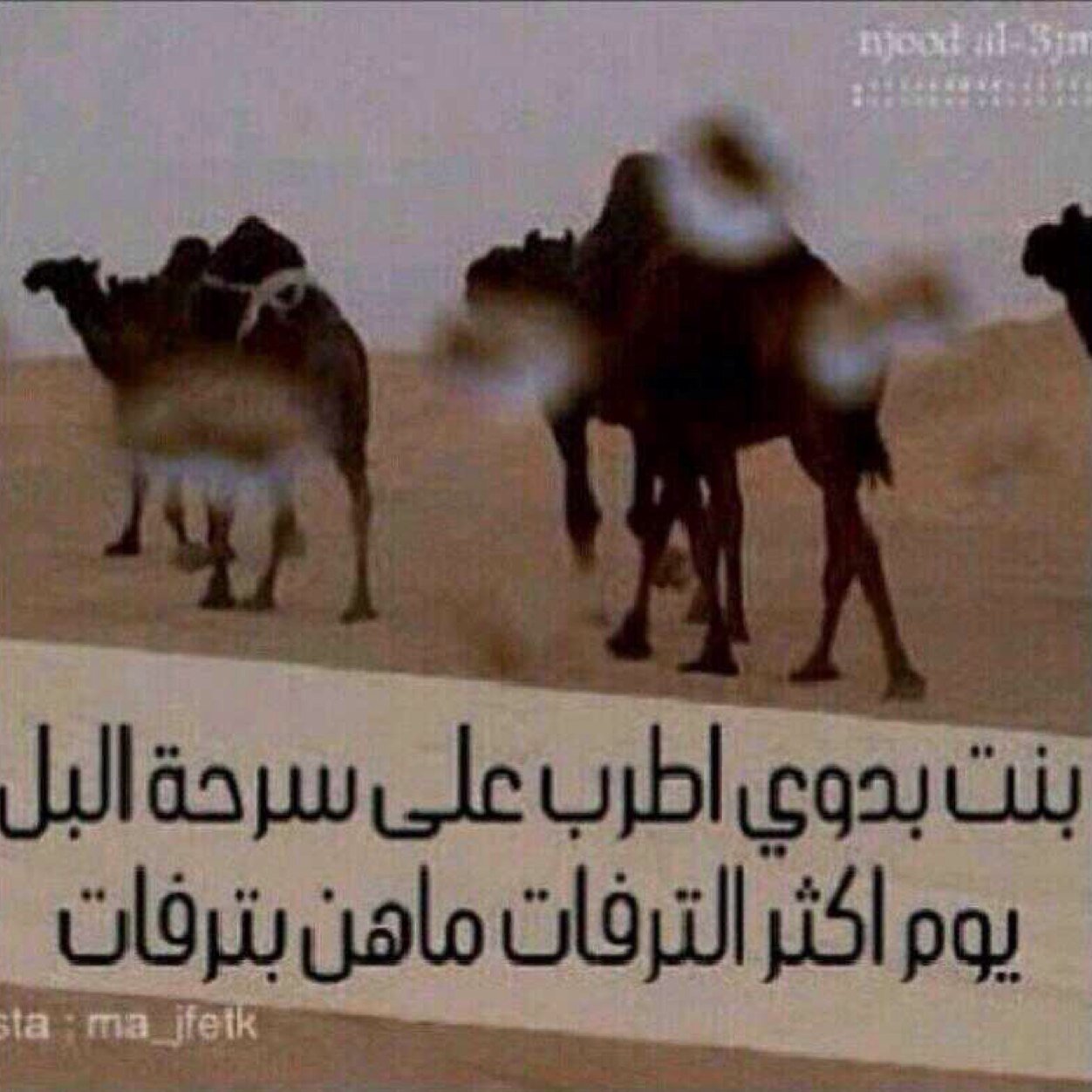‏بنت ابوي مالي شبيه الا السماء والسحابه ولالي نقيض الا مقلد ومنسوخ، انا كذا ما اشبه الا أتشابه ما ادنق الا يرتفع راسي شموخ ”
{{فــي ولاًيــة سبعـانهـا}}*