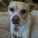 dorothy siebert - @SiebertDorothy - Twitter