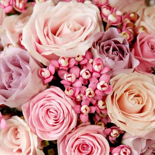 JamesHenrry_'s profile picture. Unique, Vintage, Home Décor!